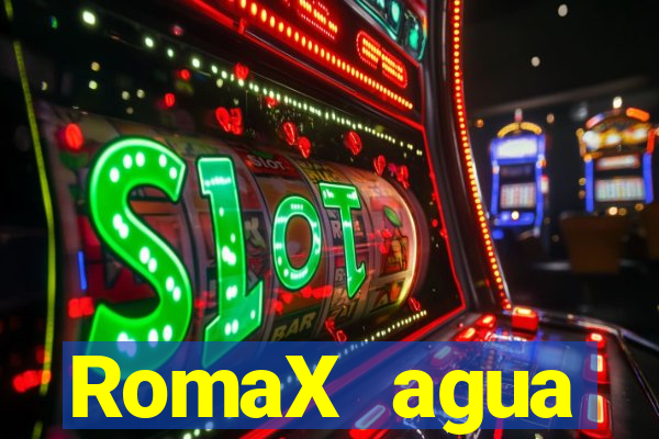 RomaX agua sanitaria fispq agua sanitaria romax